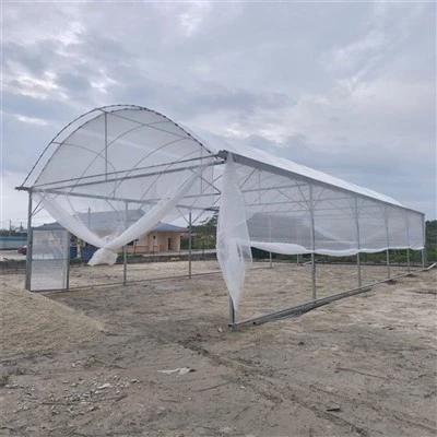 Anti Insect Net for Agriculture Anti Insect Net for Agriculture